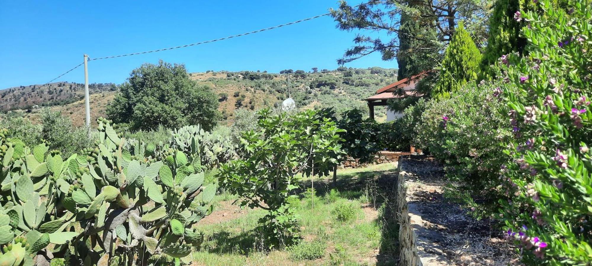 Villa Al Presti, Vacanze In Pieno Relax Чефалу Екстер'єр фото